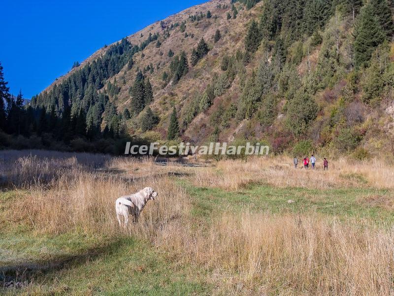 Mounigou Valley