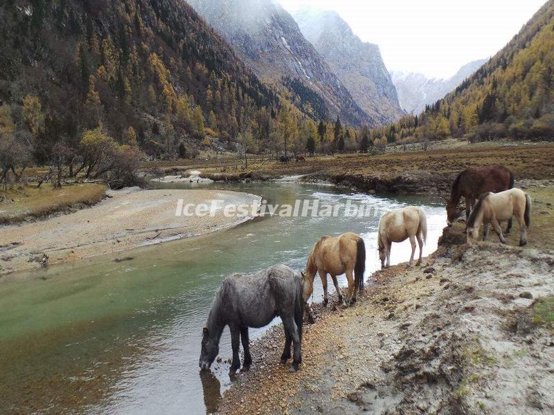 Four Girls Mountain China