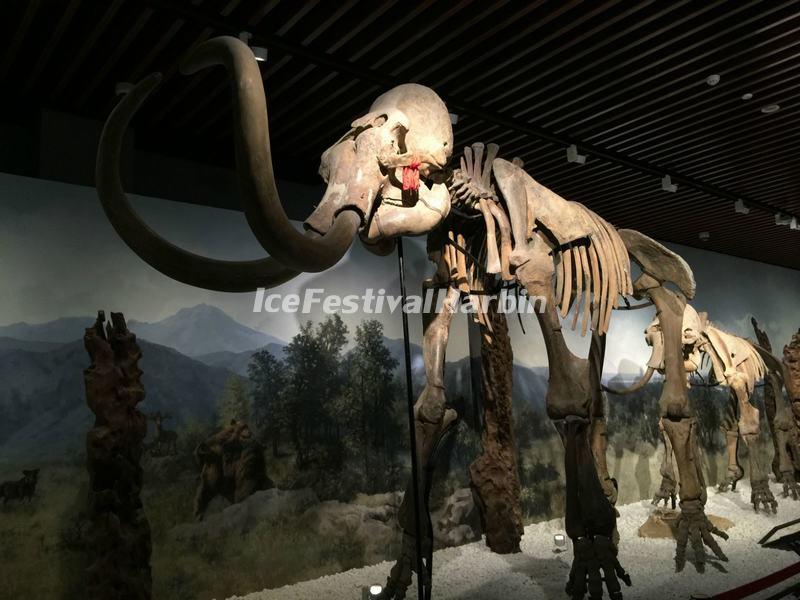 Nanjing Museum