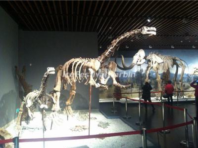 Nanjing Museum China