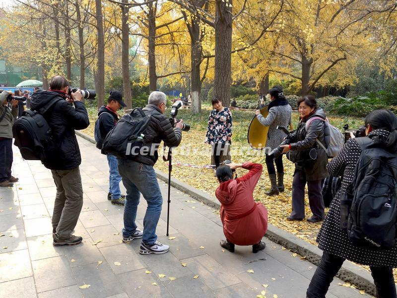 People's Park