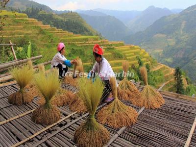 Longsheng Ping'an Zhuang Ethnic Village