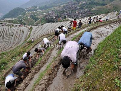 Ping'an Village Longsheng