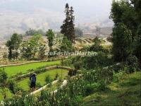 Qingkou Folk Village Scenery 