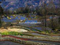 Yuanyang Qingkou Folk Village Rice Terraces