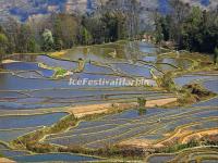 The Rice Terraces in Yuanyang Qingkou Hani Folk Village