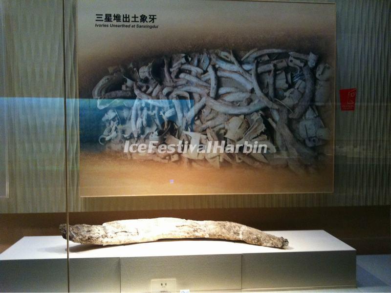 Ivories Unearthed at Sanxingdui