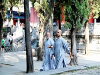 Shaolin Temple Foreign Monks