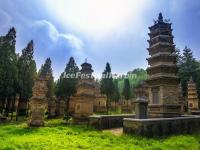 The Pagoda Forest at Shaolin Temple