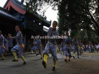 Shaolin Temple Kung Fu Performance