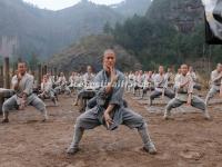 Shaolin Temple Martial Arts