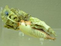 Ivory Sculpted Radish