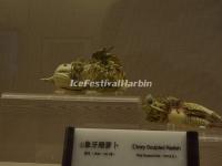 Sichuan Museum
