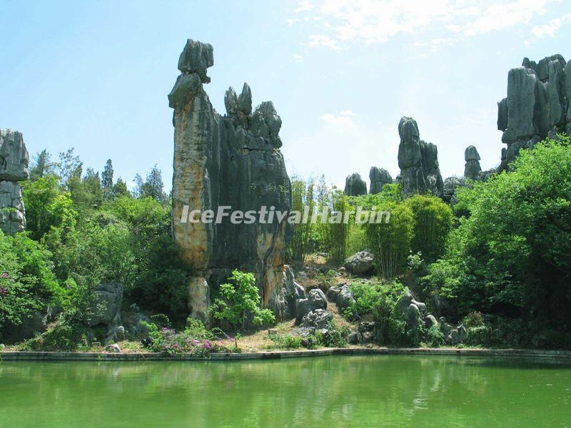 Stone Forest