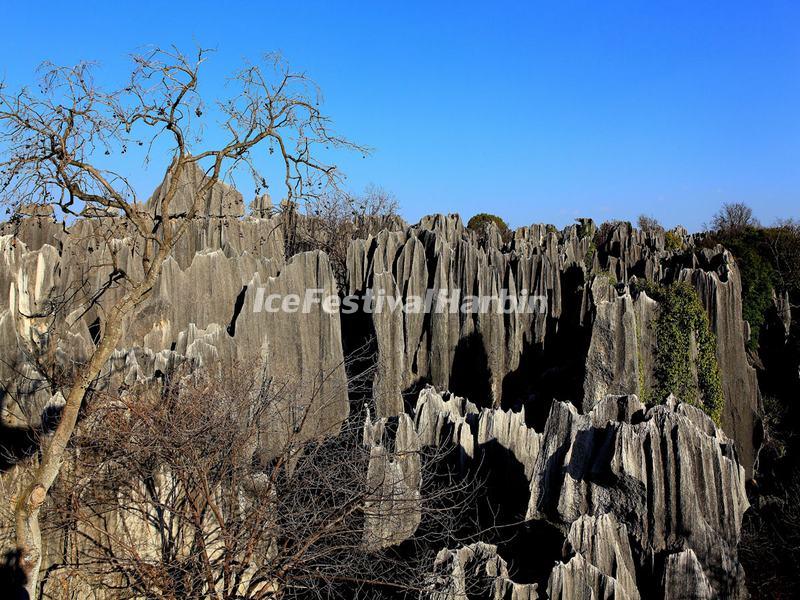 Stone Forest Kunming 