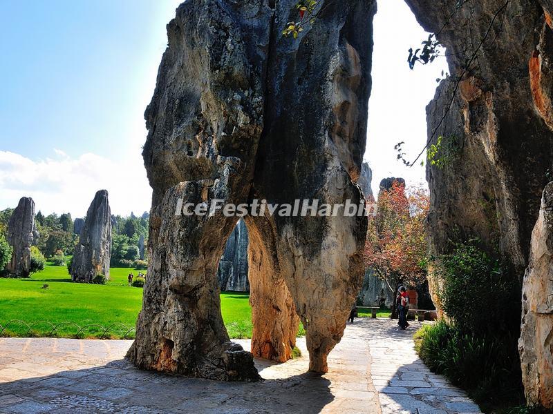 Stone Forest