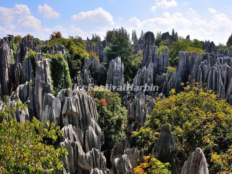 Yunnan Stone Forest Landscape 