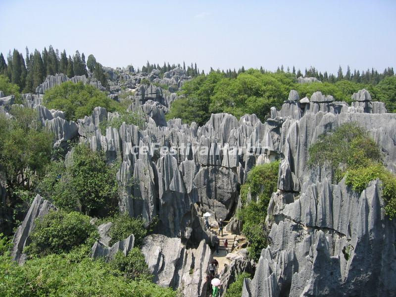 The Karst Stones in Kunming Stone Forest