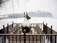 Summer Palace Buffalo in Snow