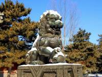 The Stone Lion in Summer Palace