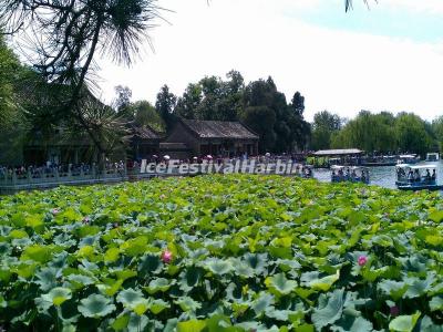 Summer Palace