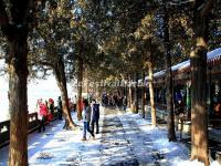 Tourist Visit Summer Palace in Winter