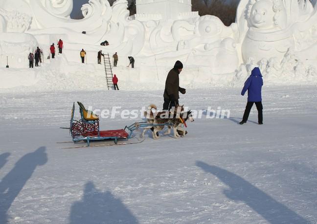 Harbin Sun Island in Ice Festival