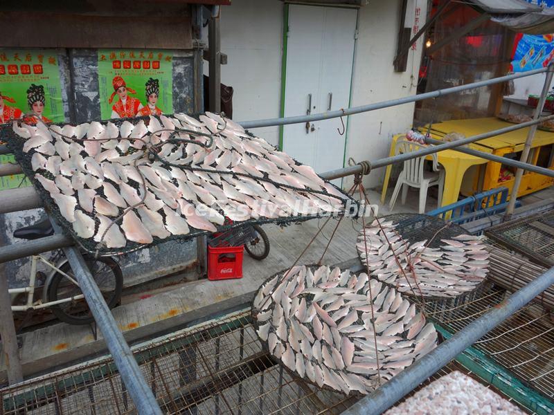 Dry Fish in Tai O Fishing Village