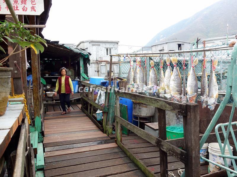 Drying Salt Fish Caught in the Waters of Tai O Fishing Village