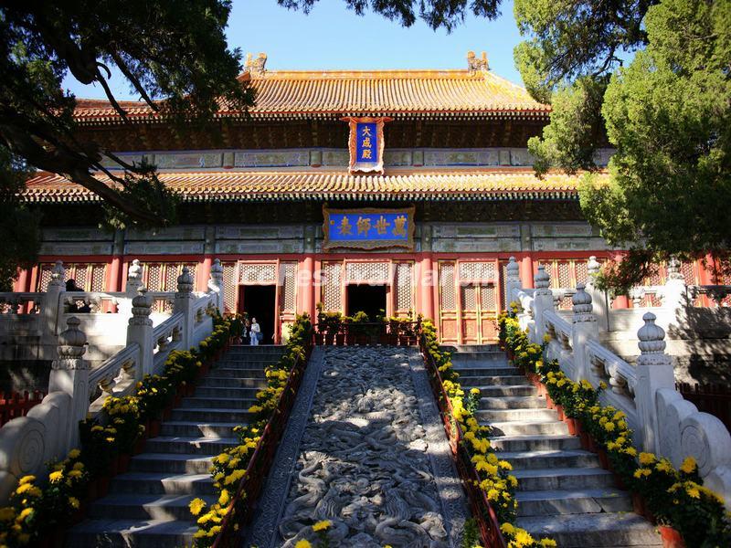 Temple of Confucius and Guozijian Museum 