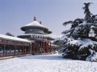 Temple of Heaven