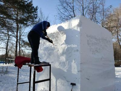 The 21st Heilongjiang Provincial Snow Sculpture Competition