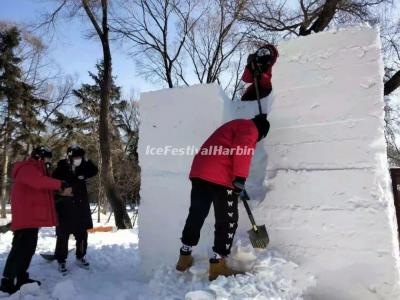 Heilongjiang Provincial Snow Sculpture Competition