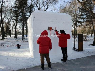 The 21st Heilongjiang Provincial Snow Sculpture Competition