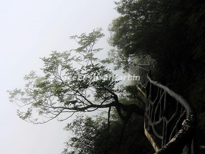 Tianmen Mountain