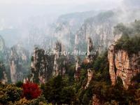 Tianzi Mountain 