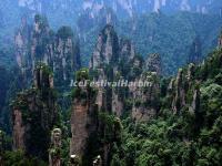 Tianzi Mountain 