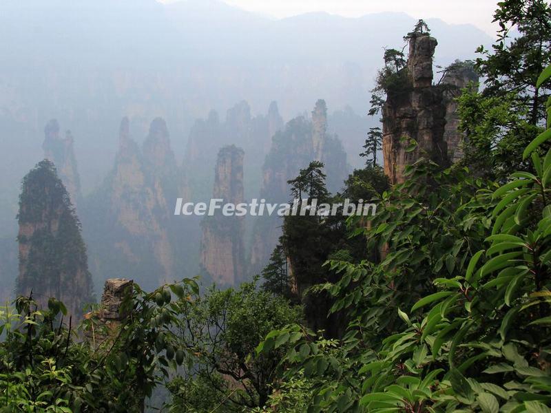 Tianzi Mountain 