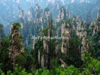 Tianzi Mountain 