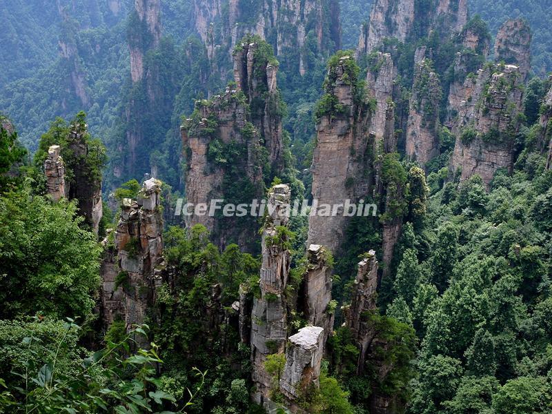 Tianzi Mountain 