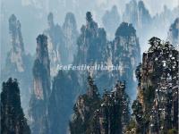 Tianzi Mountain 