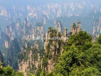 Tianzi Mountain 