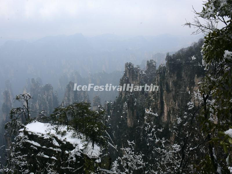 Tianzi Mountain 