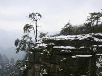 Tianzi Mountain 