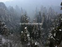 Tianzi Mountain 