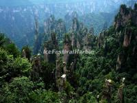 Tianzi Mountain 