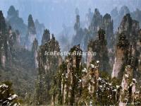 Tianzi Mountain 