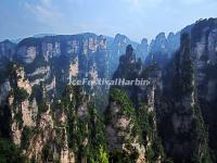 Tianzi Mountain 