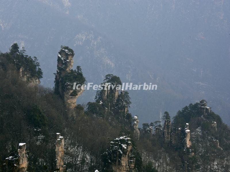 Tianzi Mountain 