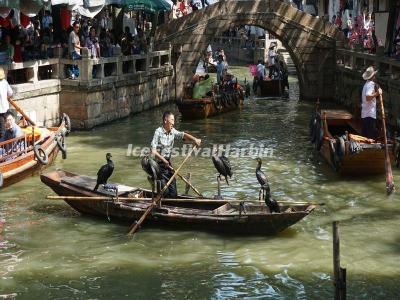 Tongli Water Town
